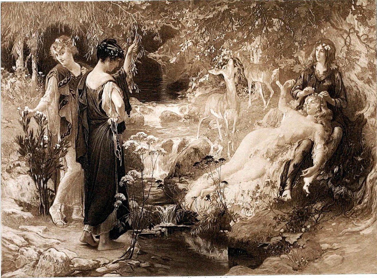 Il Bosco Segreto